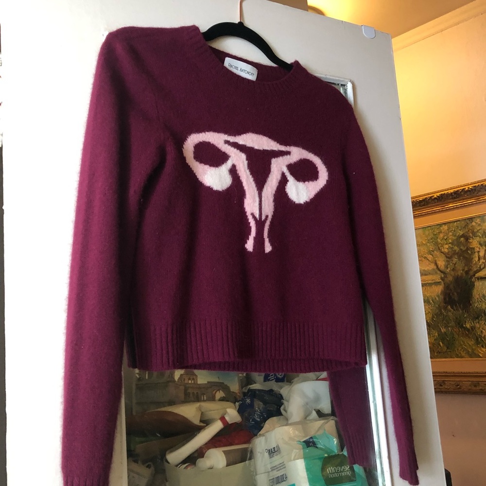 Original 2016 Rachel Antonoff Randy's Reproductive System Sweater Size XS